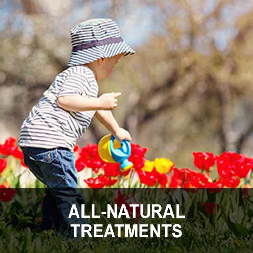 all natural lawn treatments